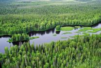 Национальный парк "Водлозерский" Национальный парк "Водлозерский"