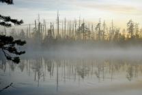 Национальный парк "Водлозерский" Национальный парк "Водлозерский"