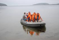 Белое море, Кузова