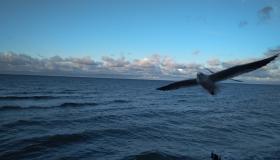 IMG_20191110_154652.jpg