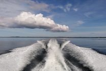 Белое море Белое море